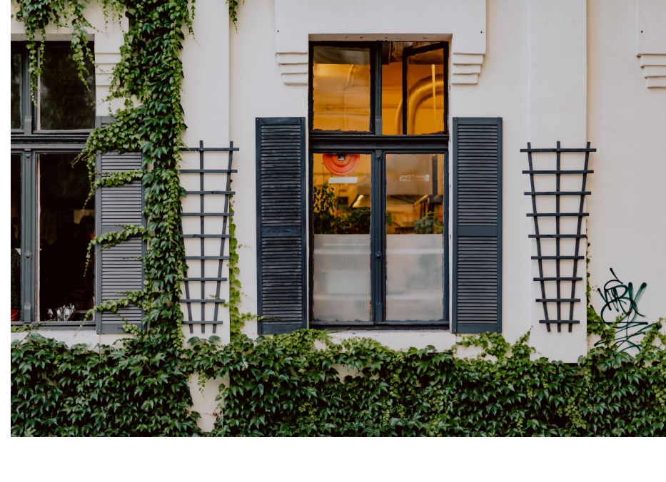 屋外植物の画像